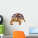 Turtle White Wall Decal