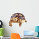 Turtle White Wall Decal