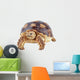 Turtle White Wall Decal