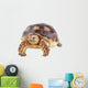 Turtle White Wall Decal
