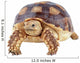 Turtle White Wall Decal