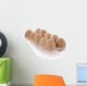 Carton Organic eggs Wall Decal