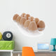 Carton Organic eggs Wall Decal