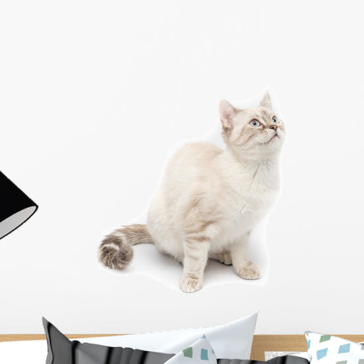 White Kitty Cat Wall Decal