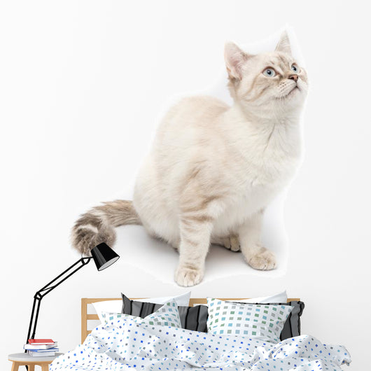 White Kitty Cat Wall Decal