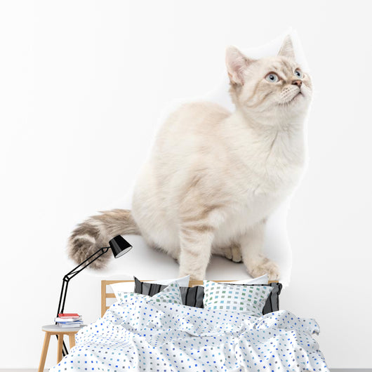 White Kitty Cat Wall Decal