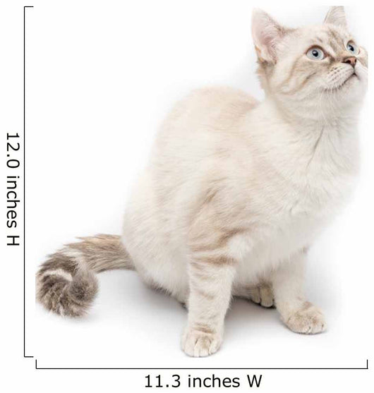 White Kitty Cat Wall Decal