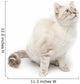 White Kitty Cat Wall Decal