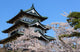 Cherry blossoms at the Hirosaki Castle Park in Hirosaki, Aomori, Wall Decal