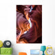 Lower Antelope Canyon Wall Decal