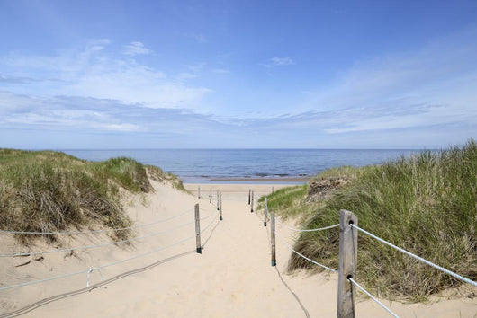 Path to Beach Summer