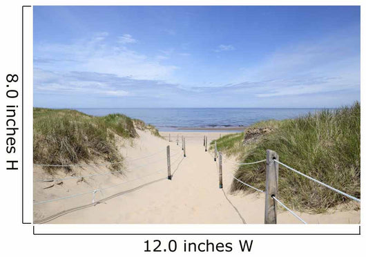 Path to Beach Summer Wall Decal