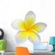 Frangipaniplumeria Flower Isolated on White Wall Decal