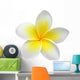 Frangipaniplumeria Flower Isolated on White Wall Decal