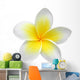 Frangipaniplumeria Flower Isolated on White Wall Decal
