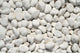 White Stones