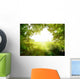Path in the forest Wall Decal