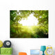 Path in the forest Wall Decal