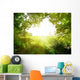 Path in the forest Wall Decal