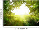 Path in the forest Wall Decal