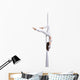Aerial silk dancer Wall Decal