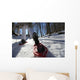 ciaspole sulla neve Wall Decal