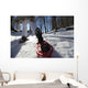 ciaspole sulla neve Wall Decal