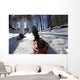ciaspole sulla neve Wall Decal