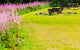 Picnic table and benches in Norway, Europe. Wall Decal