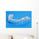 Invisible Braces Wall Decal