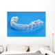 Invisible Braces Wall Decal
