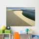 Len&ccedil;&oacute;is Maranhenses National Park, Brazil Wall Decal