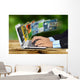 Internet Concept on Laptop Wall Decal