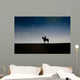 Pferd und Reiter vor Himmel Wall Decal