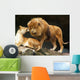 Lions Couple Wall Decal
