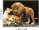 Lions Couple Wall Decal