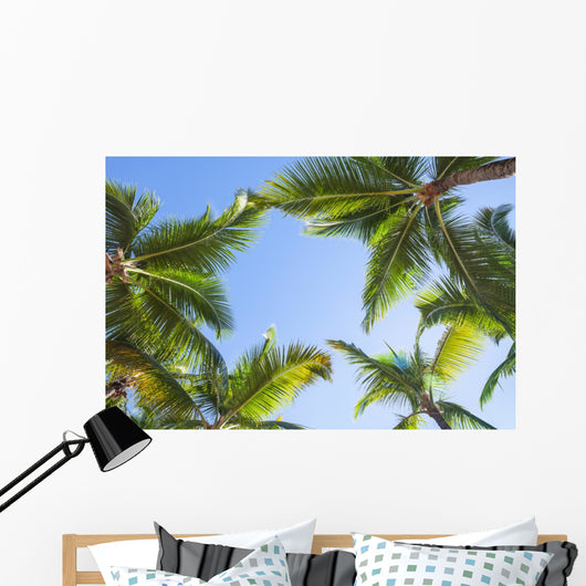 Looking up on coconut palm trees over blue sky background Wall Decal