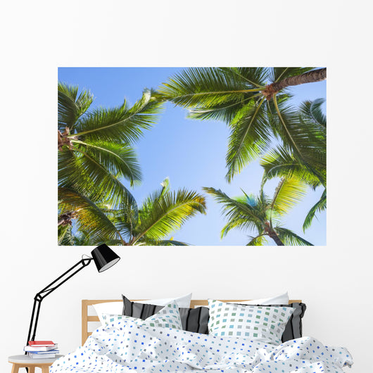 Looking up on coconut palm trees over blue sky background Wall Decal