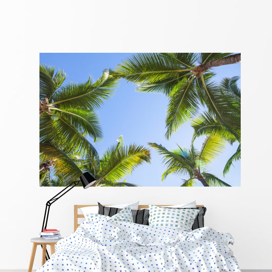 Looking up on coconut palm trees over blue sky background Wall Decal