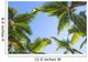 Looking up on coconut palm trees over blue sky background Wall Decal