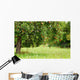 Apple Tree Orchard Wall Decal