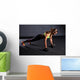 beautiful woman at the gym Wall Decal