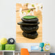 Therapy Stones Wall Decal
