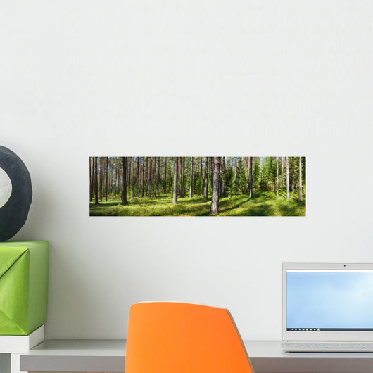 Summer forest panorama Wall Decal