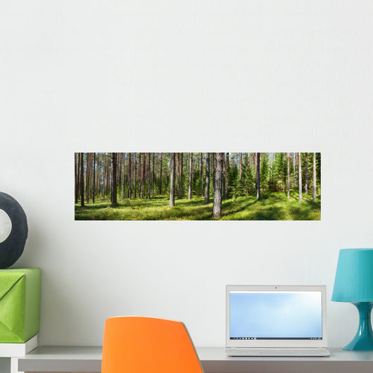 Summer forest panorama Wall Decal