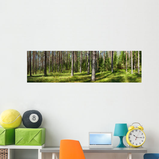 Summer forest panorama Wall Decal