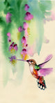 Watercolor Humming Bird Wall Decal