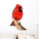 Northern Cardinal Bird Wall Decal