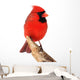Northern Cardinal Bird Wall Decal