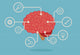 brain infographic Wall Decal